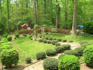 Growing Some Grass In The Backyard