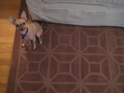 A Brown Area Rug From JC Penney