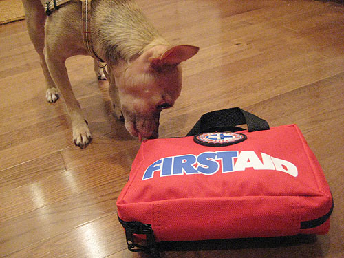 Fab Freebie: Furry First Aid