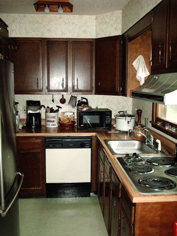 A $1400 Kitchen Makeover