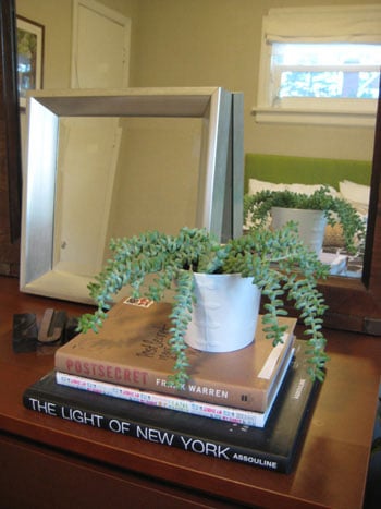 Easy House Plants To Keep Alive