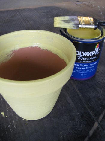 adding yellow paint to terra cotta pot