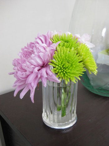 Budget Blooms: The March Mix