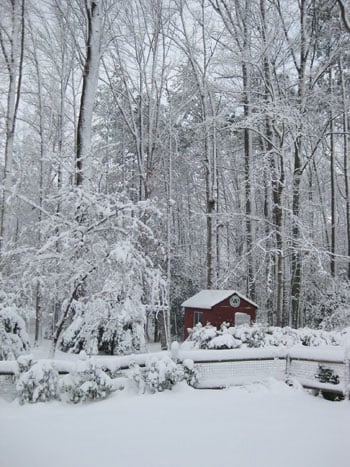 Snow Day
