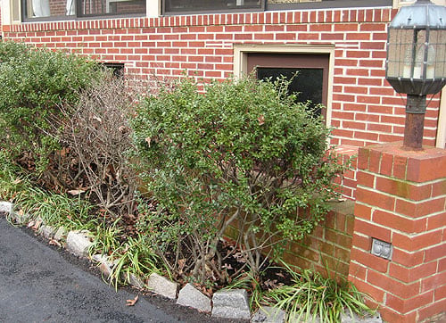 How To Plant An Easy Edible Garden