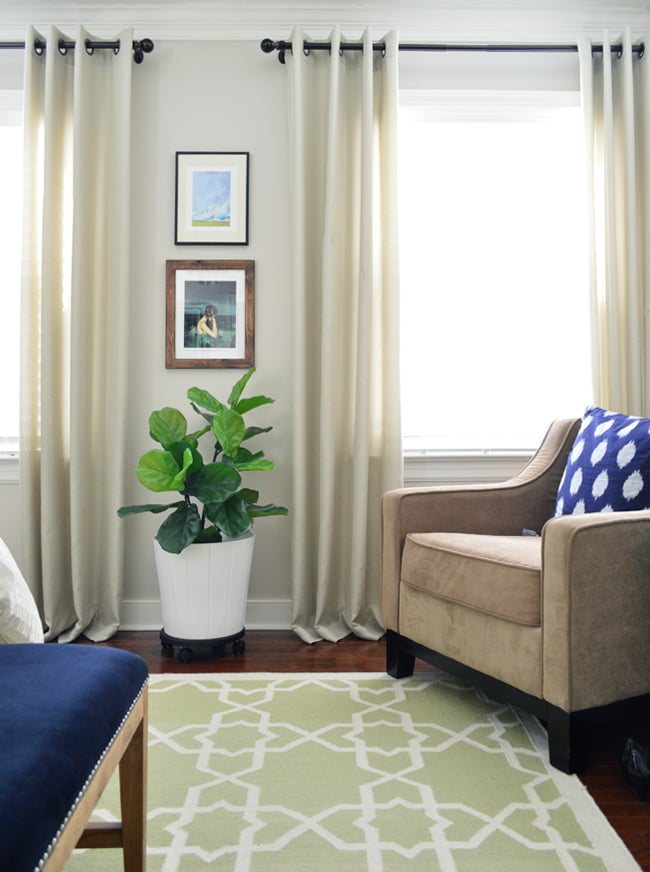 The Best Faux Fiddle Leaf Fig I’ve Ever Seen