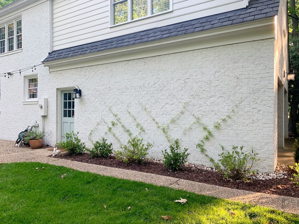 How To Make A DIY Trellis