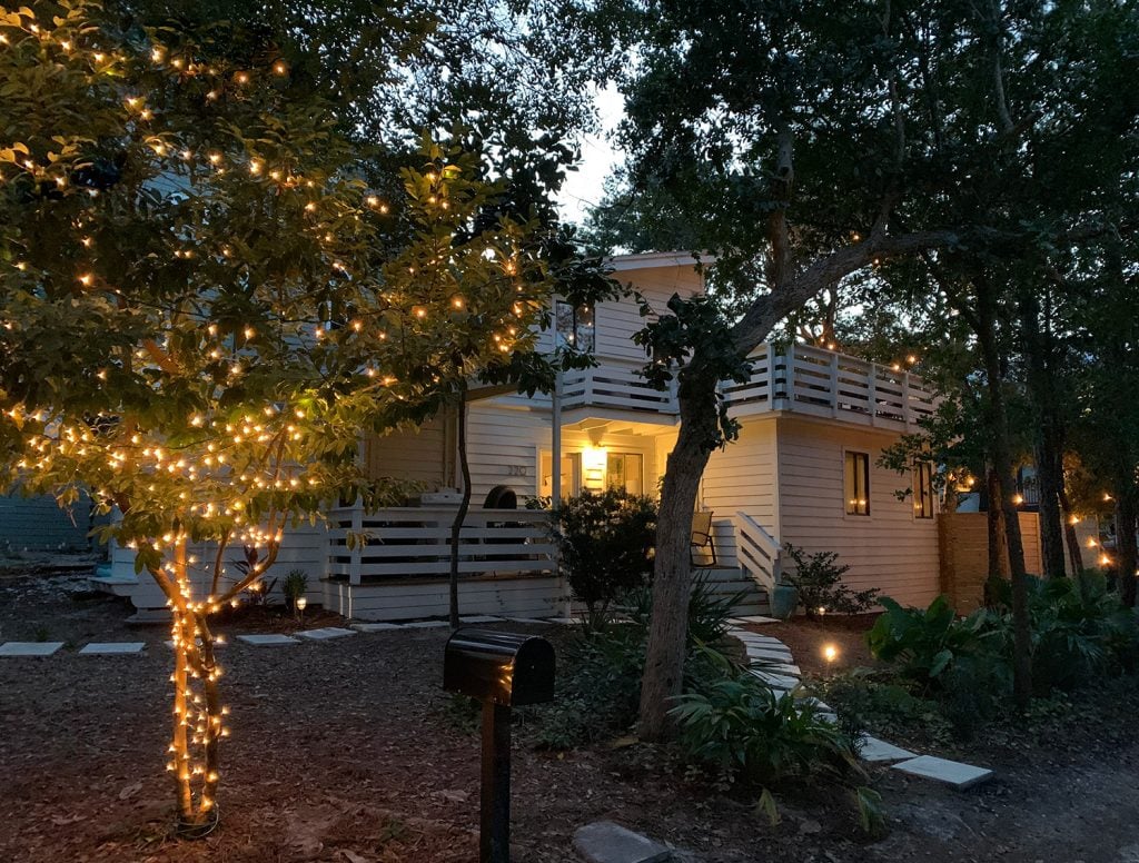 Exterior Tree With Christmas Lights In Front Of White House