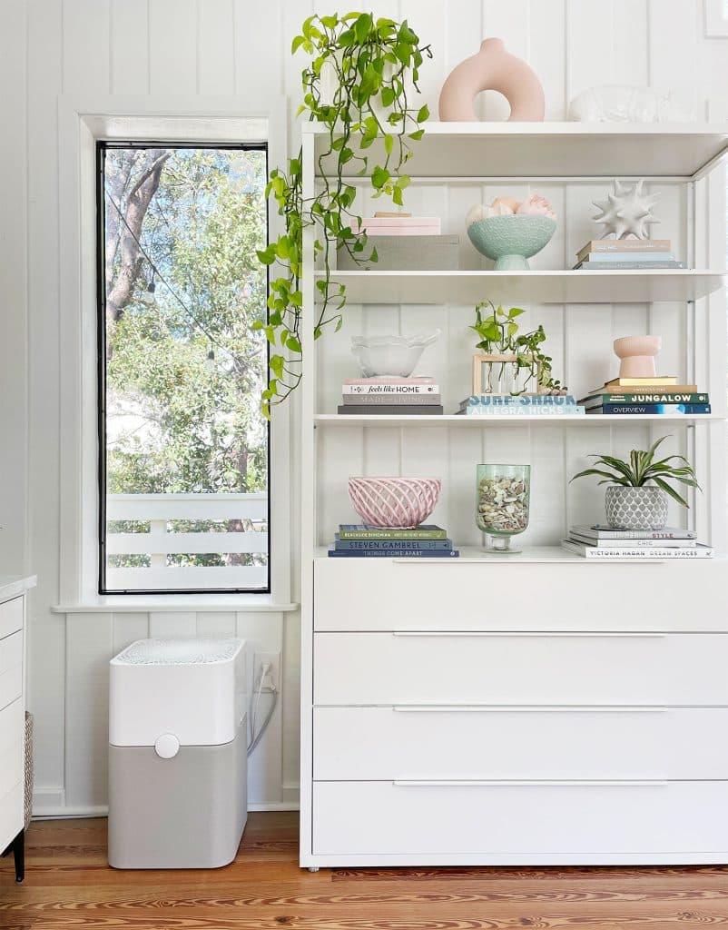 The Best Home Air Purifier
