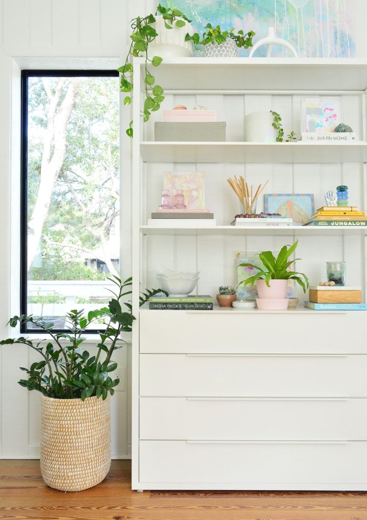 Best Air Purifying Plants