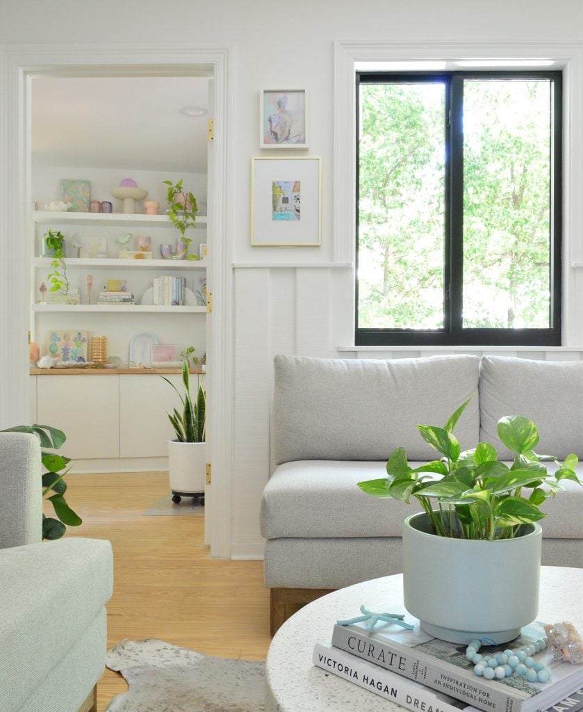9 Easy Low-Light Indoor Plants