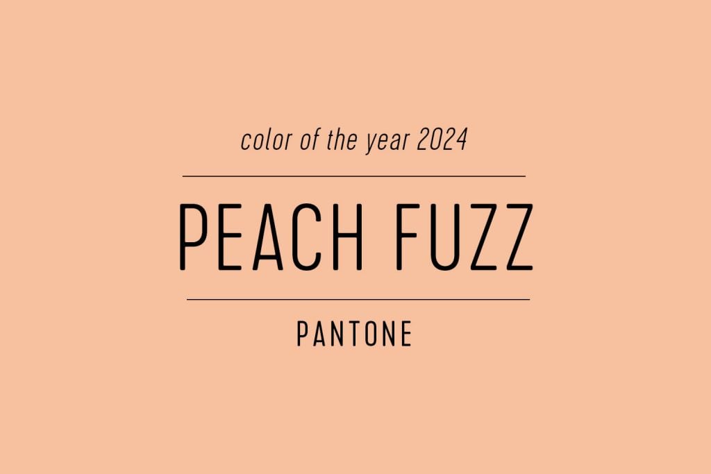 Color Swatch of Pantone Color Of The Year 2024 Peach Fuzz