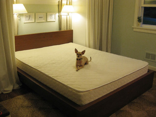 Natural Latex Mattress Review