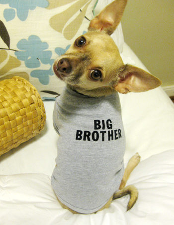 Oh Brother! (Or Sister?)