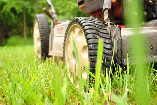 Cleaning An Oil-Clogged Air Filter In Our Lawn Mower