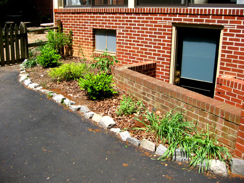 Edible Garden A Year Later