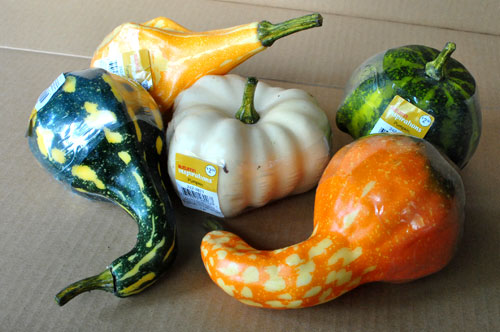 Using Gourds To Make Fall Decor
