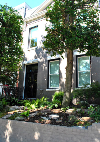 A Historic Meets Modern House Tour