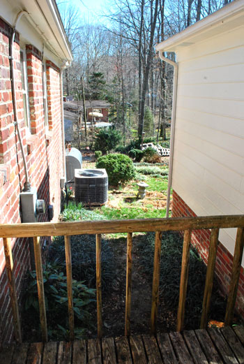 Planting Leyland Cypress Trees For Added Privacy