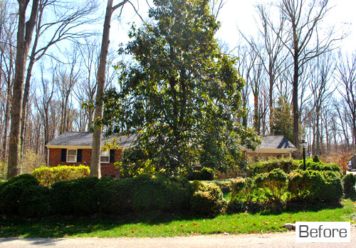 Using A Certified Landscape Designer