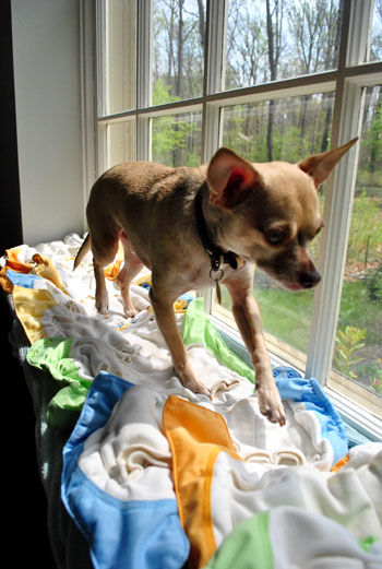 Cloth Diapering Tips