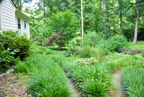 Outdoor Updates And A Landscaping Tour