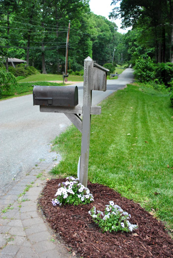 Landscaping Around A Mailbox