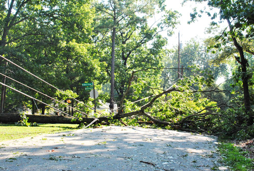 Hurricane Irene Damage