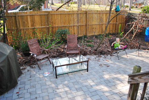Planting Blue Hydrangeas
