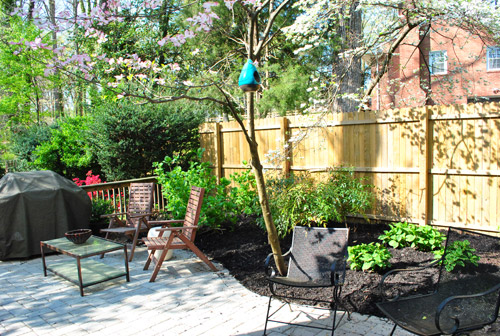 Planting Boxwoods, Petunias, and Hydrangeas