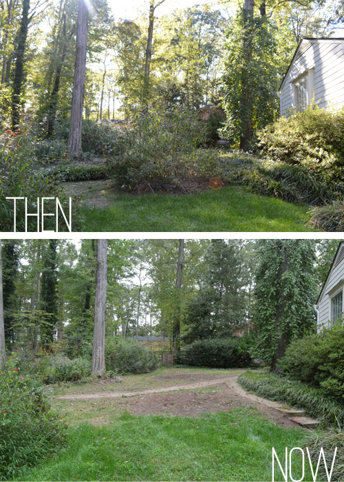 Landscaping Updates In The Backyard