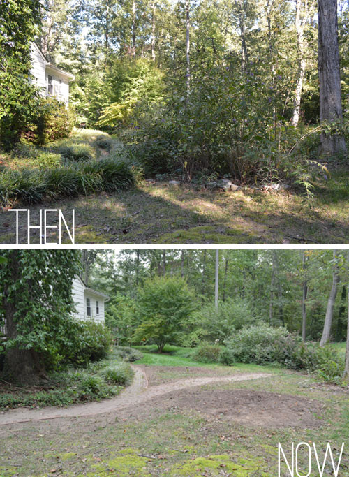 How To Prep Your Lawn For Grass Seed
