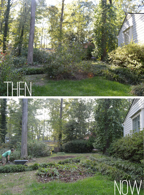 Slowly Updating Our Landscaping