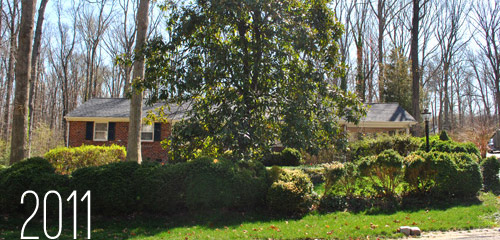 Landscaping Makeover