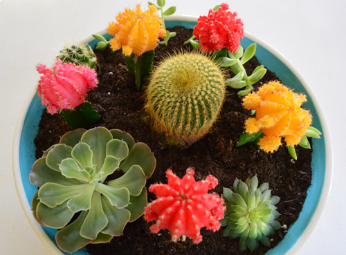 How To Use Ceramic Paint