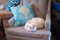Reupholster a Secondhand Armchair and Spray-Paint the Legs