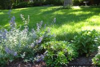 How to Landscape Around a Paver Patio for Curb Appeal