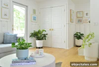9 Low-Light Indoor Plants That Thrive Without Direct Sun