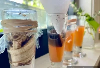 Get Rid of Fruit Flies Using Items You Already Have