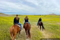Summer Road Trip in South Dakota: Badlands & Mount Rushmore