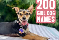200 Female Dog Names with Expert Naming Tips