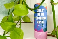 Keiki Paste: What It Is and How to Use It on Orchids