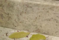 Get Rid of Ants Naturally: Home Remedies That Work