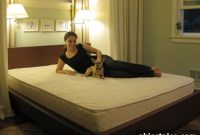 Why We Chose an Organic Latex Mattress