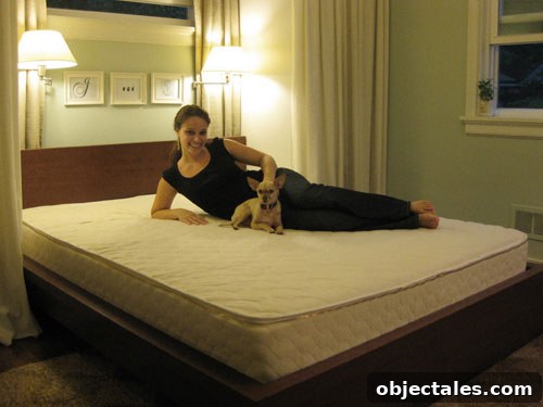 featured 13036