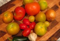 DIY Salsa Kit: Make Fresh Homemade Salsa