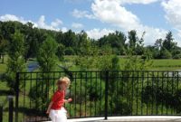 Our Fun-Filled Fourth: Fireworks, Food, and Family