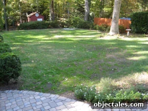 featured 174 1