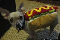 Friday Costume Send-Off: Creative Costume Ideas and Tips