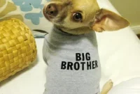 Oh Brother or Sister? Dealing with Sibling Drama